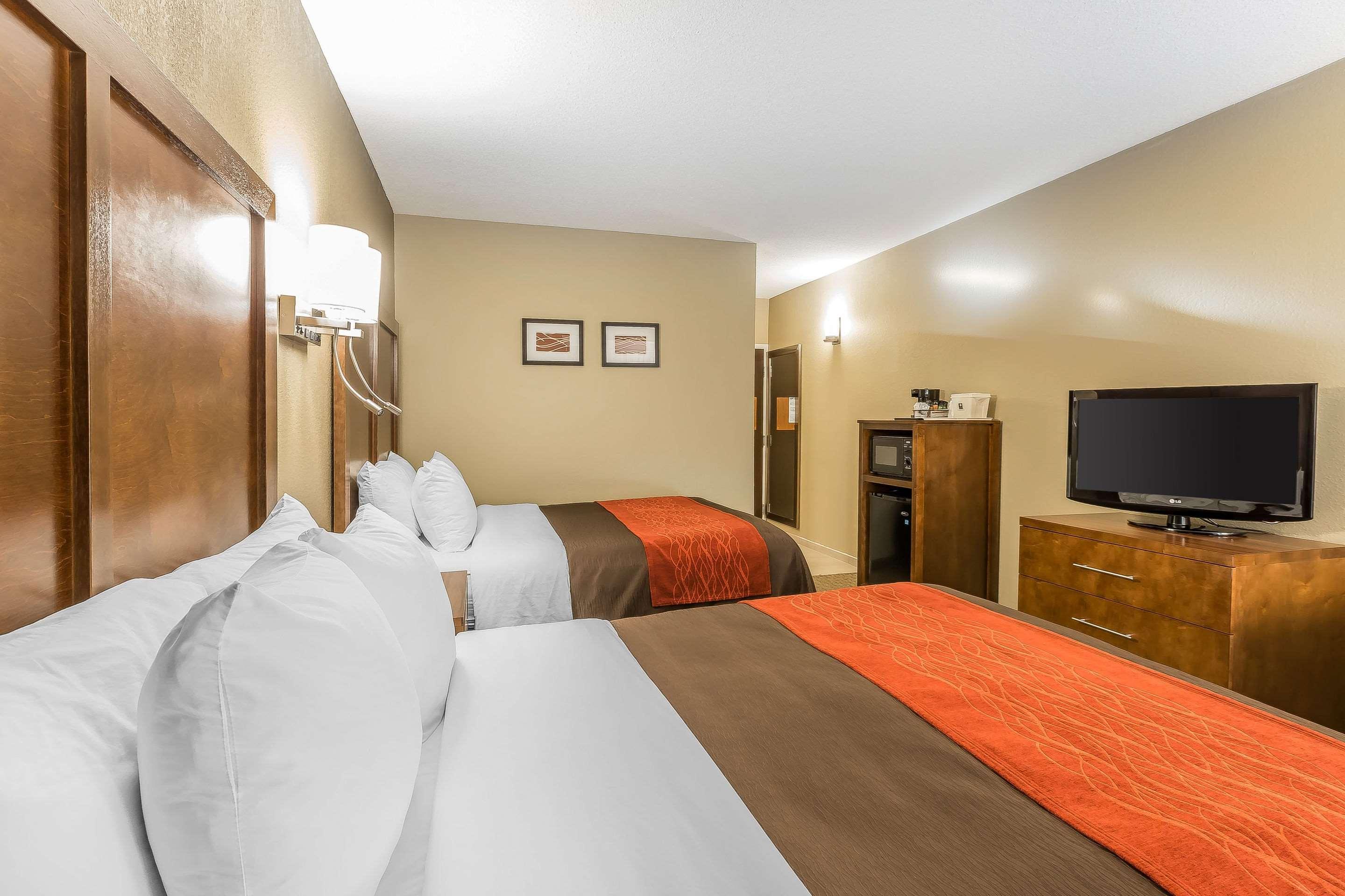 דלטון Comfort Inn & Suites מראה חיצוני תמונה