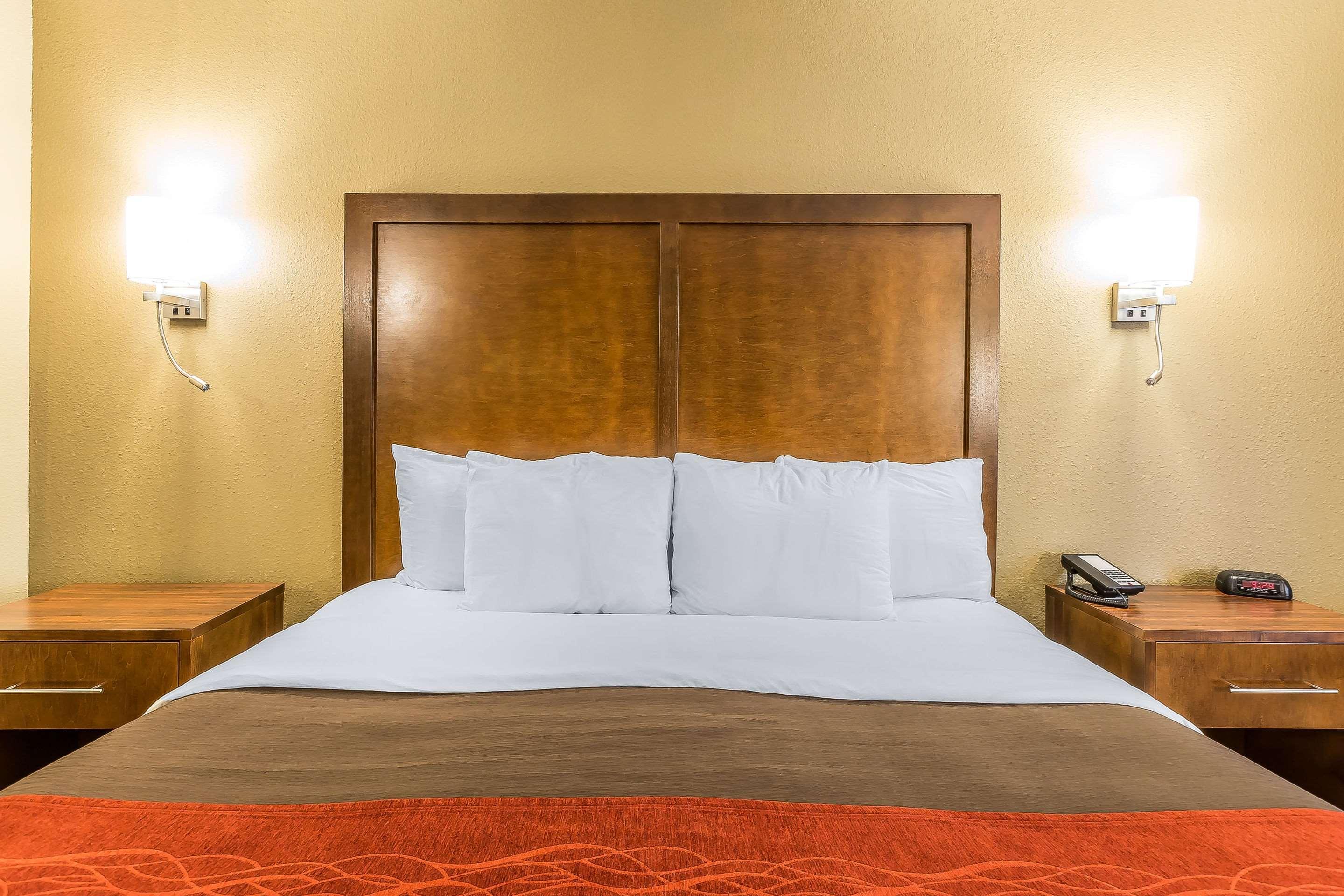 דלטון Comfort Inn & Suites מראה חיצוני תמונה