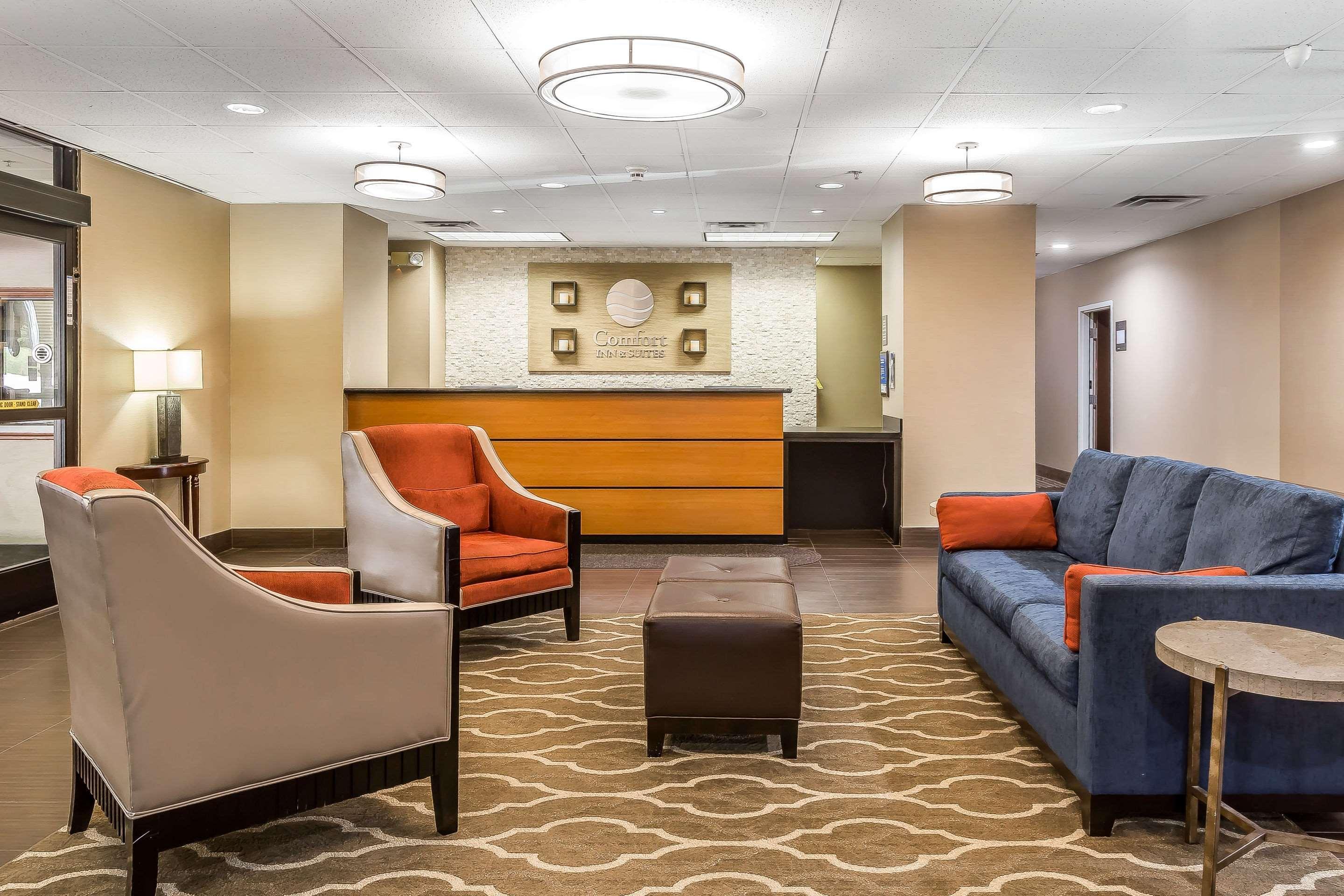 דלטון Comfort Inn & Suites מראה חיצוני תמונה