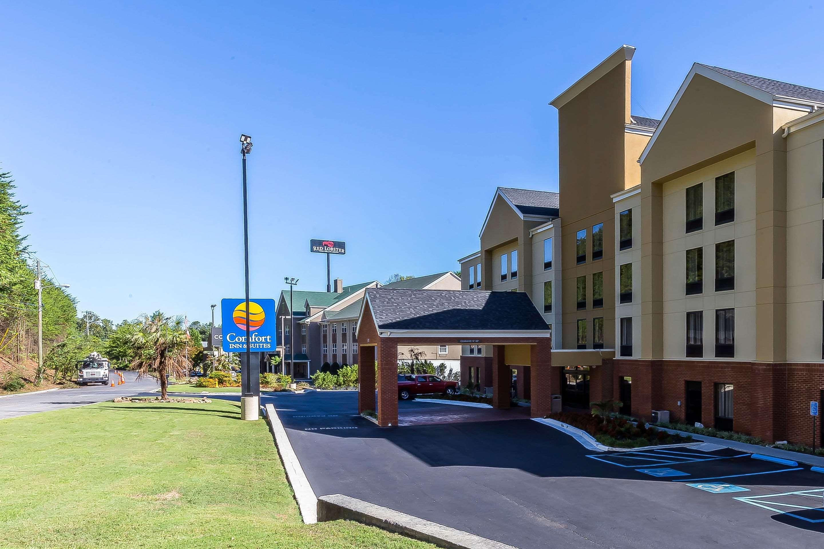 דלטון Comfort Inn & Suites מראה חיצוני תמונה