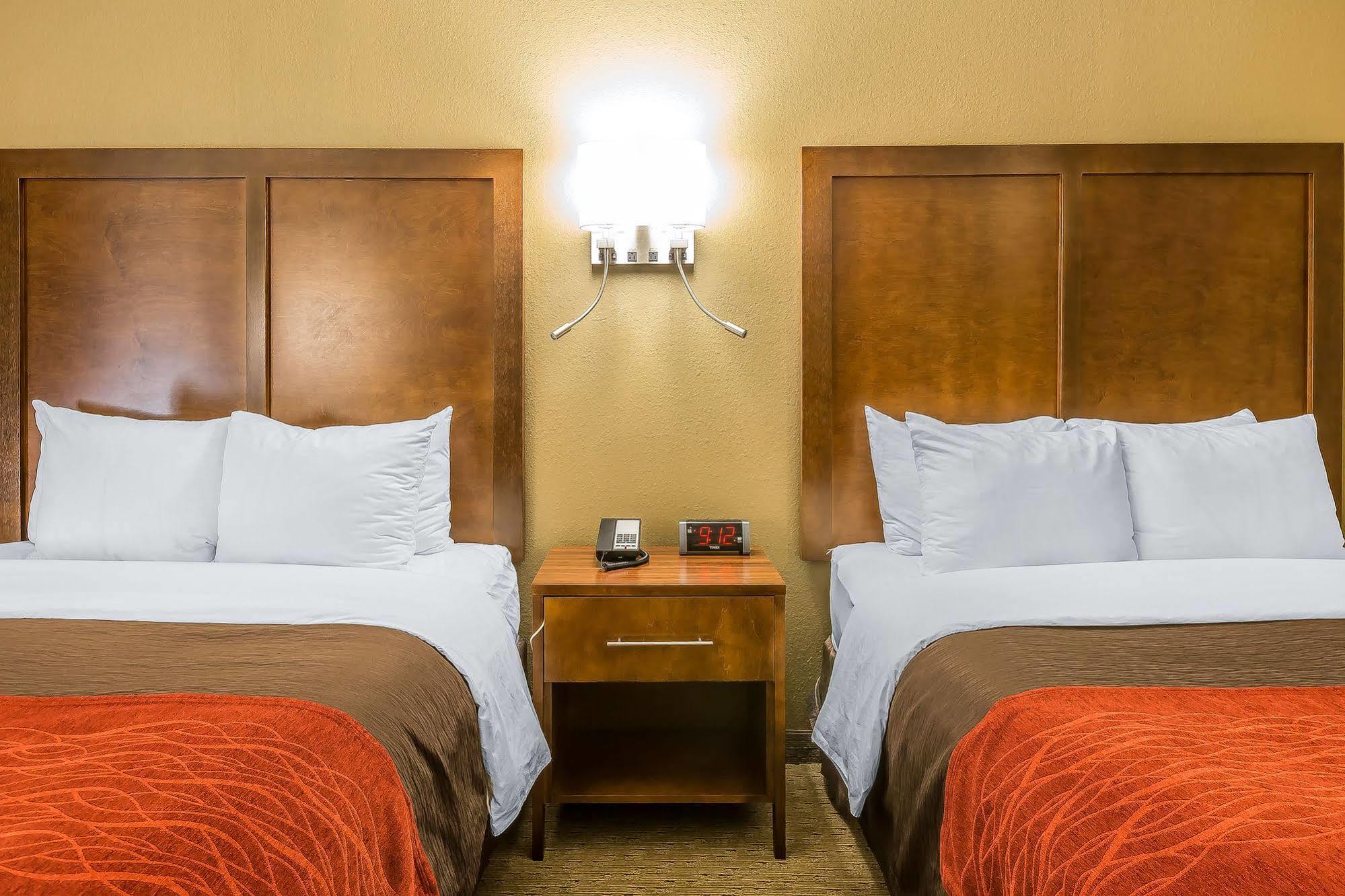 דלטון Comfort Inn & Suites מראה חיצוני תמונה
